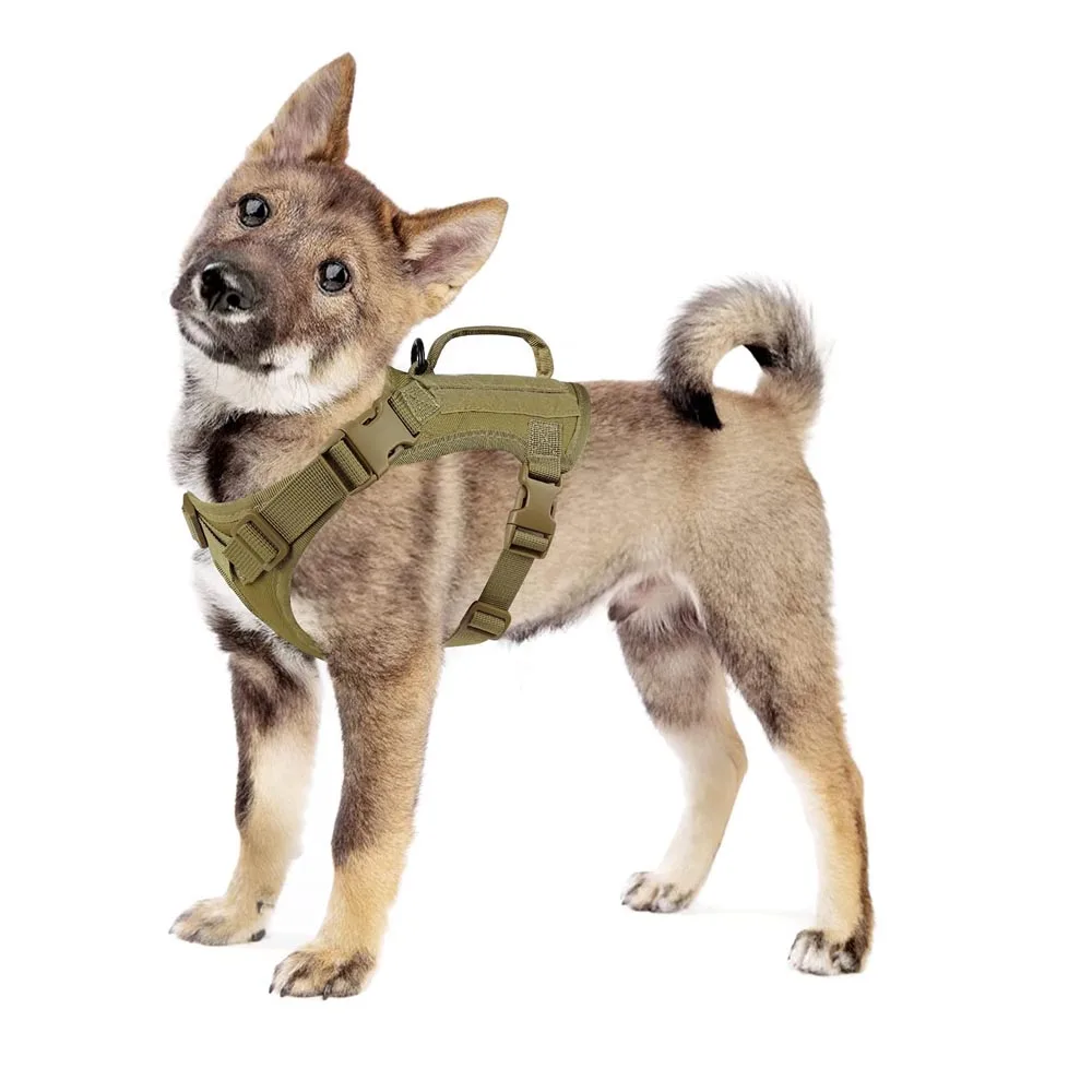 шлейка для собак мелких болшых шлея шлейки жижа хаски жилет йорка | Дом и сад