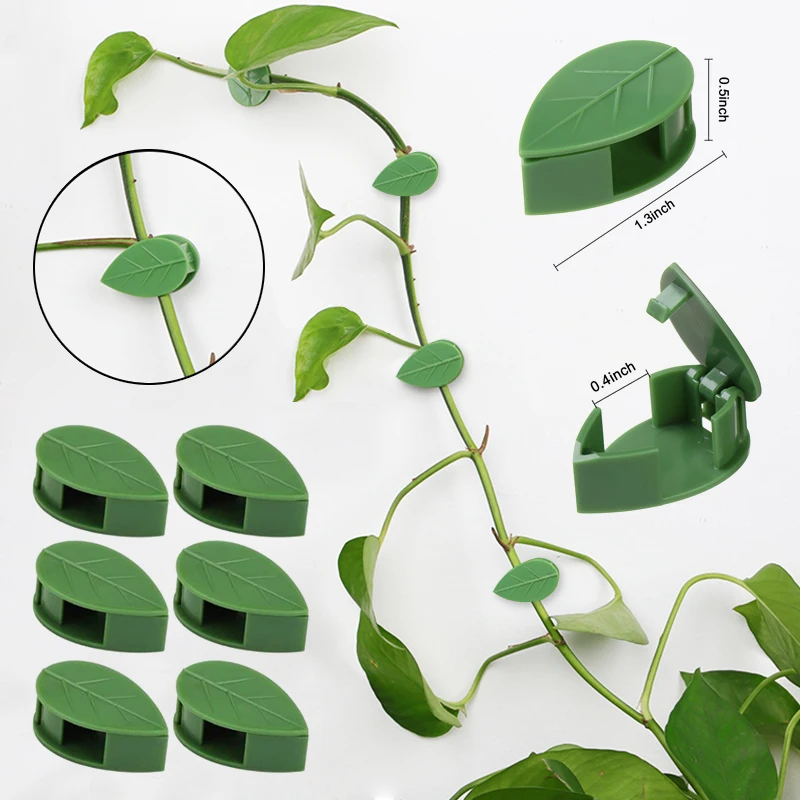 Самоклеящаяся застежка для альпинизма растений | Дом и сад