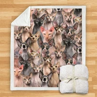 you will have a bunch of sphynx cats blanket 3d printed fleece blanket on bed home textiles dreamlike 06