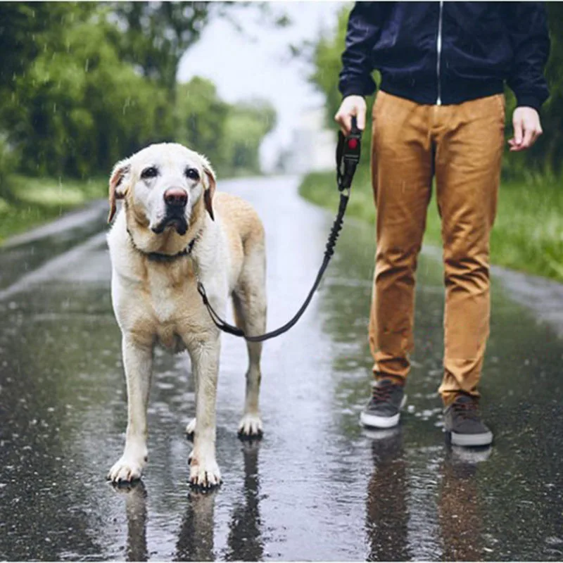 

Автомобильный ремень безопасности для собак и кошек