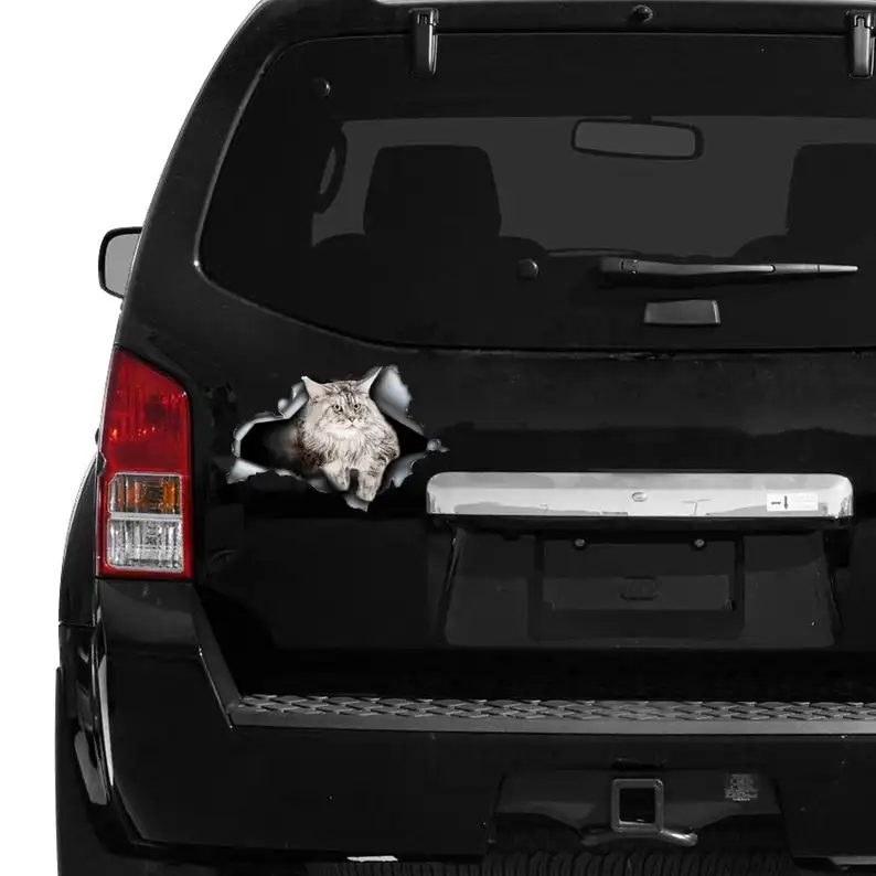 

2021 Grey Maine Coon car decal, Grey cat decal, grey Maine Coon sticker