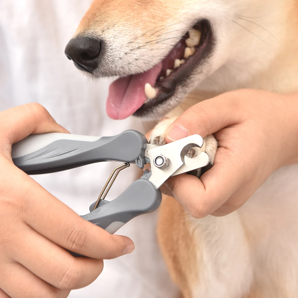 

Sharp Dog Cat Nail Clipper Stainless Steel Dogs Scissors Professional Cats Claw Clippers Cutter With Lock Pet Grooming Tool