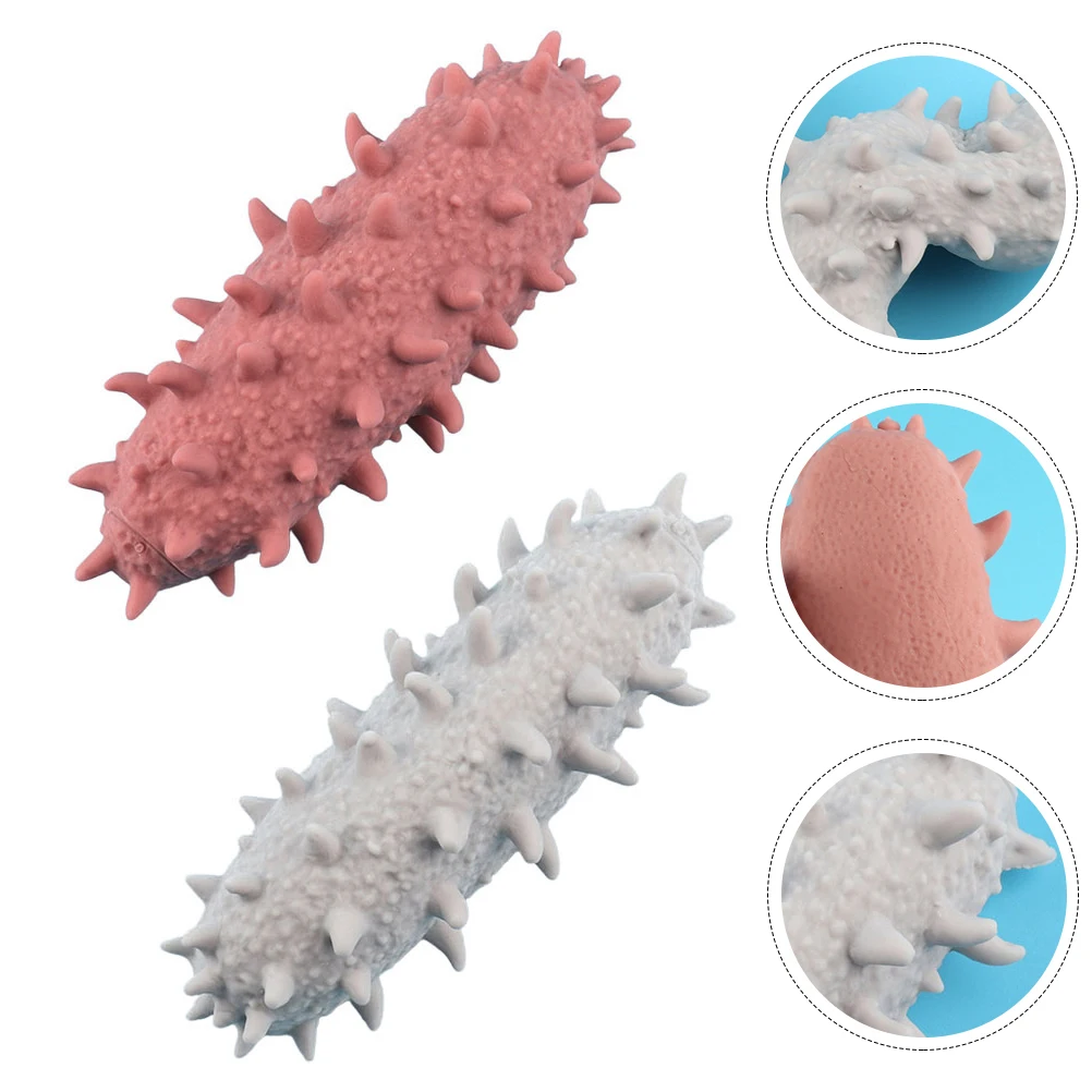 

2pcs Decorative Lightweight Durable Vent Toy Trepang Shape for Family Co-worker