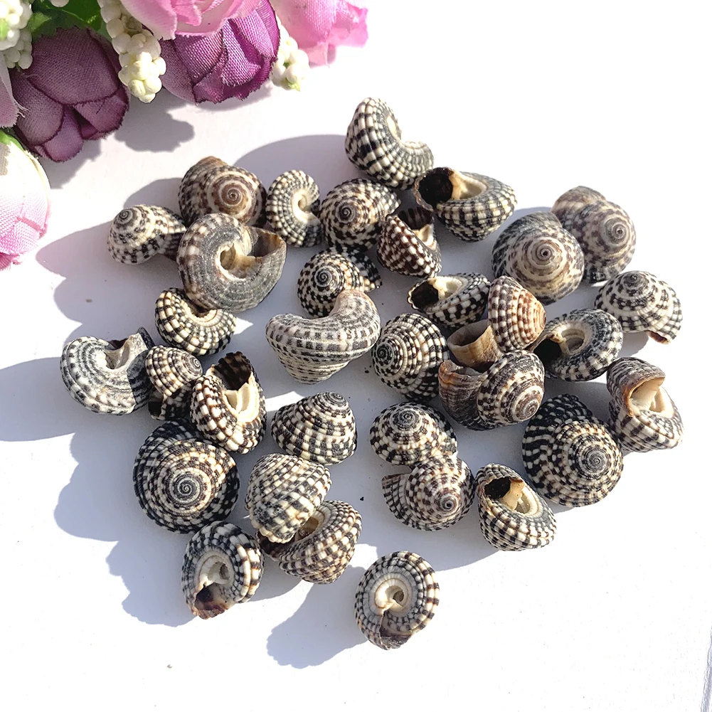 

10 шт., мини-ракушки для аквариума