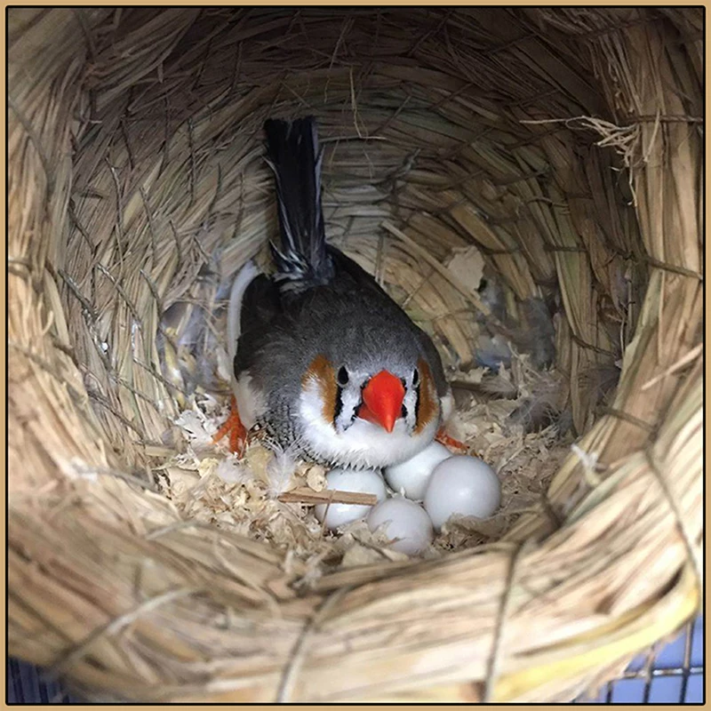 Модель искусственных яиц миниатюрная Статуэтка для украшения сада|Статуэтки и