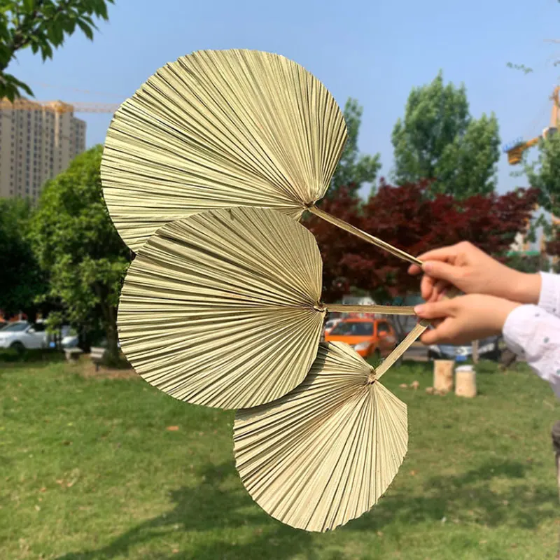 

1PC Palm Fan Leaf Dried Flower Palm Leaf Window Reception Party Art Wall Hanging Decoration Wedding Arch Arrangement