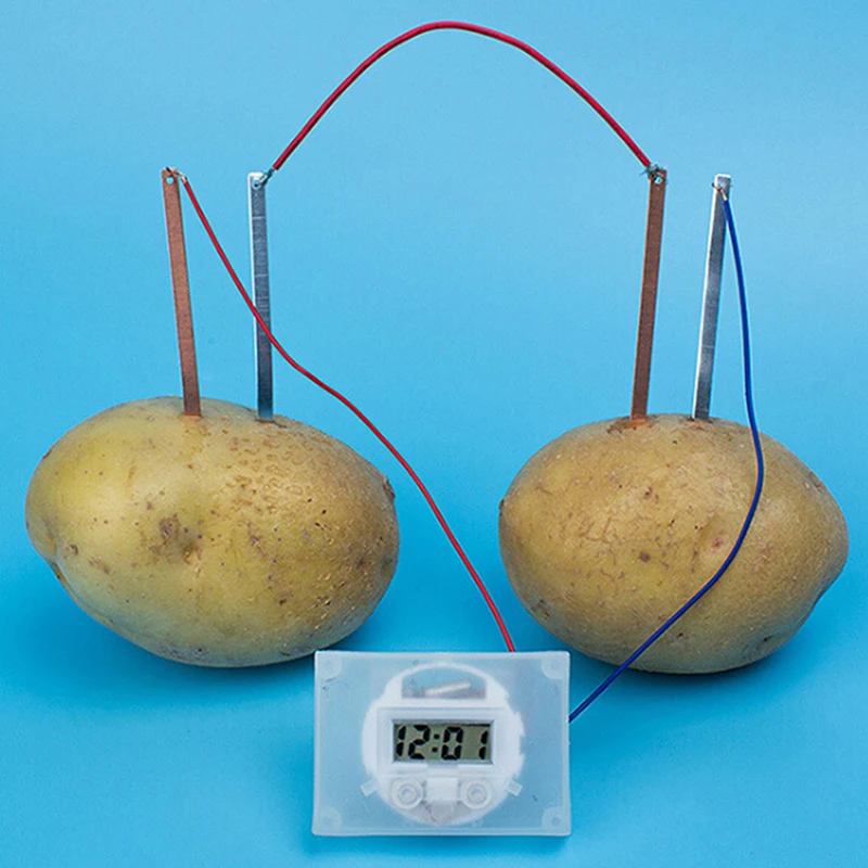 Kit de Ciencia de energ&iacute;a Bio para ni&ntilde;os, divertido suministro de patatas, experimentos el&eacute;ctricos, juguetes de realidad-5