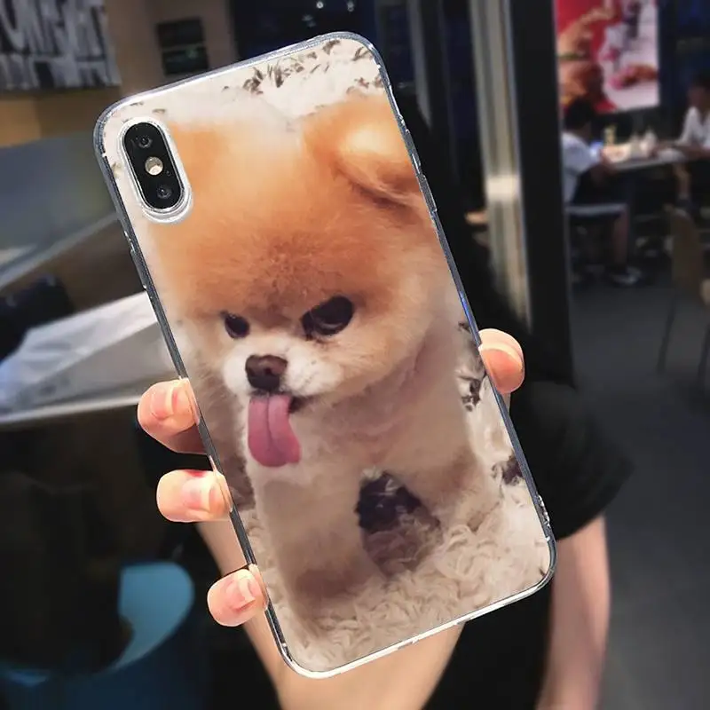 

Pomeranian cute dog animal Phone Case Transparent soft For iphone 5 5s 5c se 6 6s 7 8 11 12 plus mini x xs xr pro max