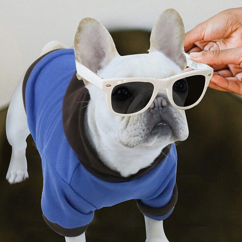 

Casual Pet clothing solid color pet plus fleece Hoodie Skin-friendly Hoodie Universal Hoodie Soft Dog Hoodie CasualPet Supplies