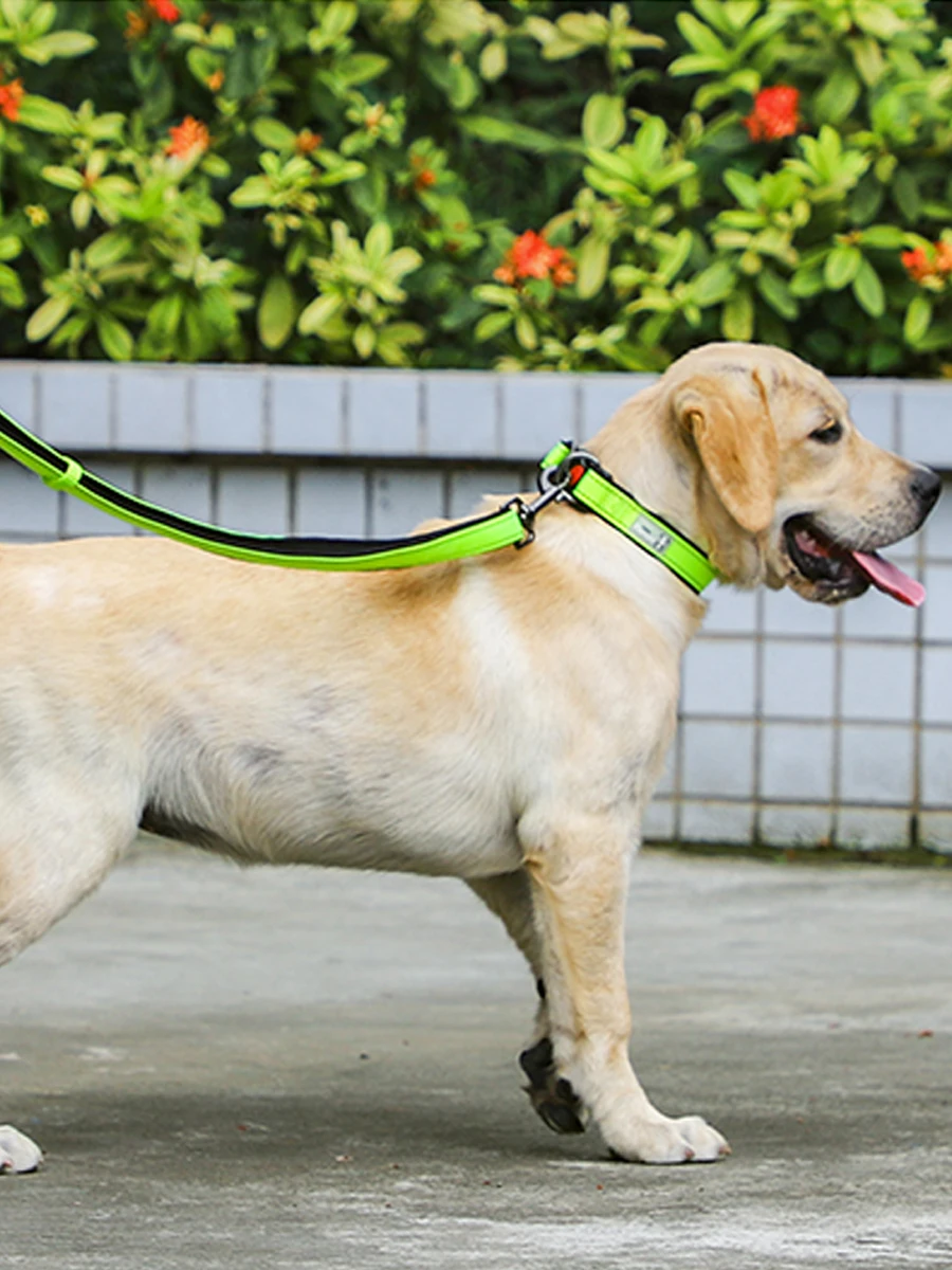 

Nylon Reflective Dog Collars Pet Collar Leash for Small Medium Large Dogs Puppy Adjustable Dog Training Walking Pet Accessories
