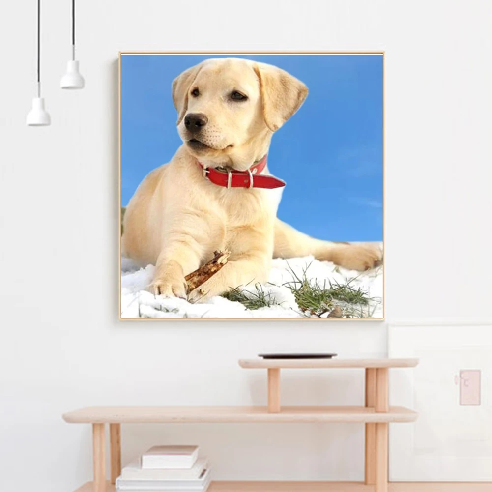 Набор для алмазной вышивки такса с изображением собаки | Дом и сад