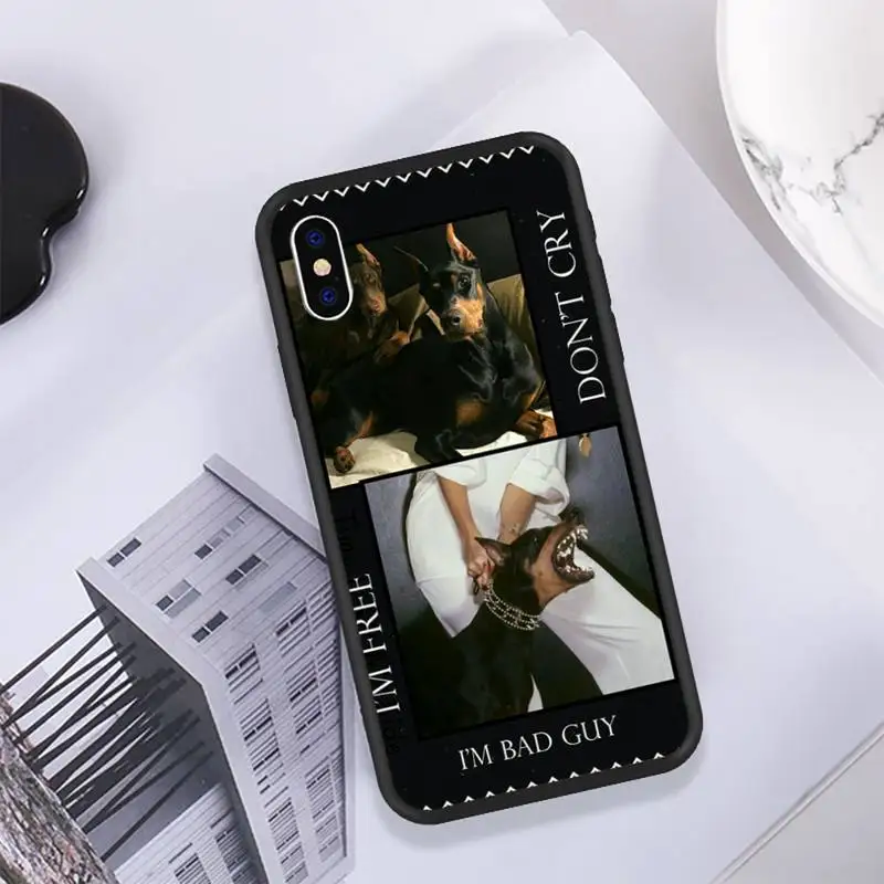 Чехол для телефона с изображением животных таксы добермана собаки IPhone 11 12 13 Pro Max 6