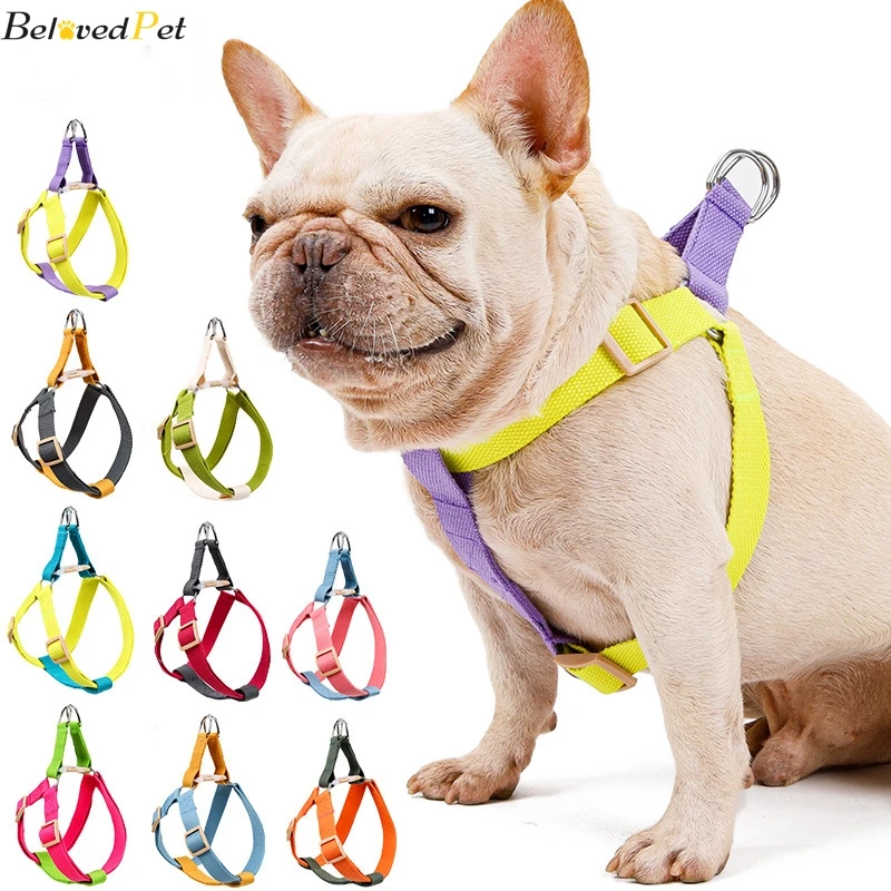 Собака Радуга поводок набор Pet поводки для щенков каната жилет нагрудный ремень