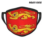 Флаг Нормандии лучший подарок Забавный принт многоразовая маска для лица Франция калвадос символ страны знак логотип флаг нация крышка лицо забавное