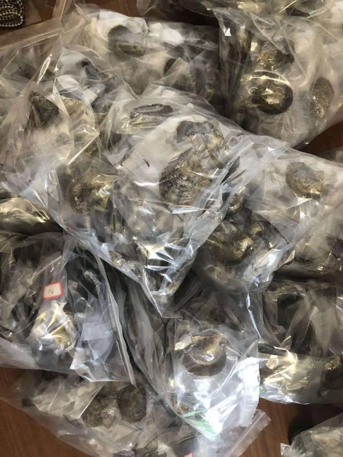 Стандартная доставка! Объемные 100 устрицы Akoya с круглым жемчугом 6-8 мм внутри