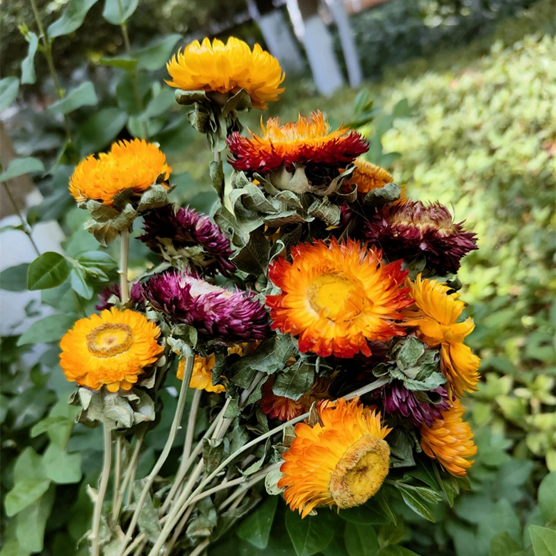 

Decorative Daisy Dried Natural Sunflower Bouquet For Home Decor Flower Heads Straw Chrysanthemum Branch House Decoration