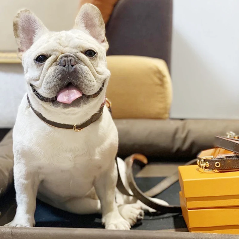 Ошейник из воловьей кожи для собак и кошек аксессуар домашних питомцев