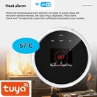 Умный датчик утечки газа Tuya, Wi-Fi, ЖК-дисплей, USB, датчик температуры, поддержка дистанционного управления