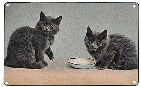 

Cat Metal Tin SignThere is no cat food in the poor cat bowlFace Poster Home Bathroom Toilet Living Room Art Wall Decoration