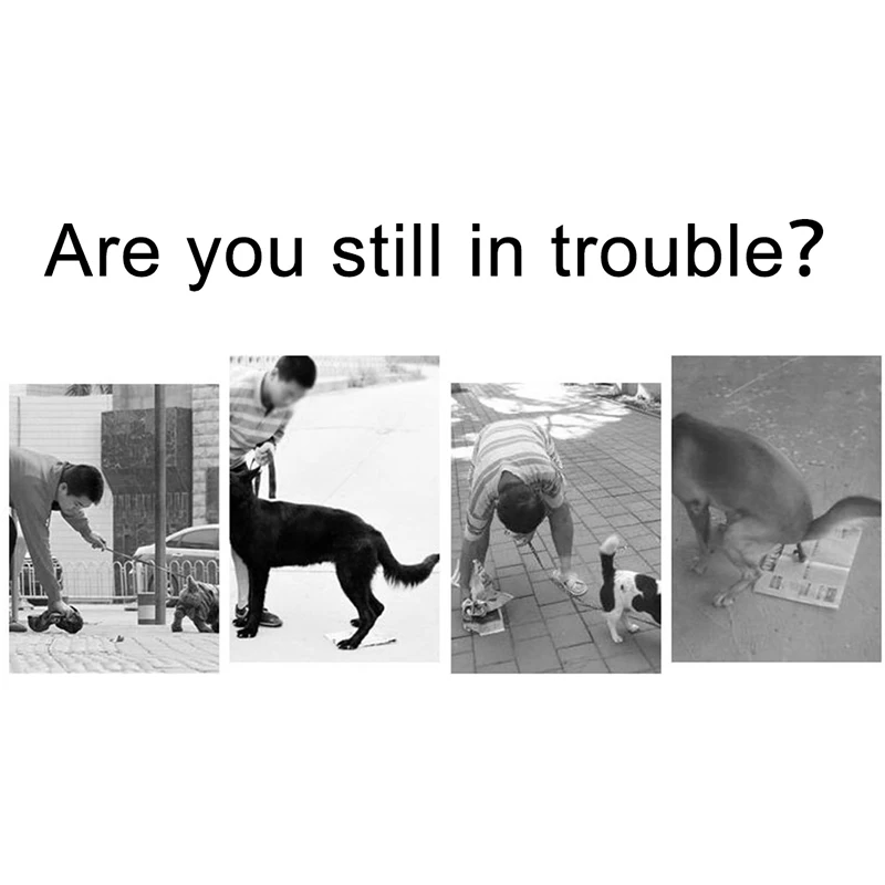 

Poop Bags Set Pets Dogs Trash Cleaning Supplies+Portable Pet Dog Poop Bag Dispenser Waste Garbage Holder Dispensers