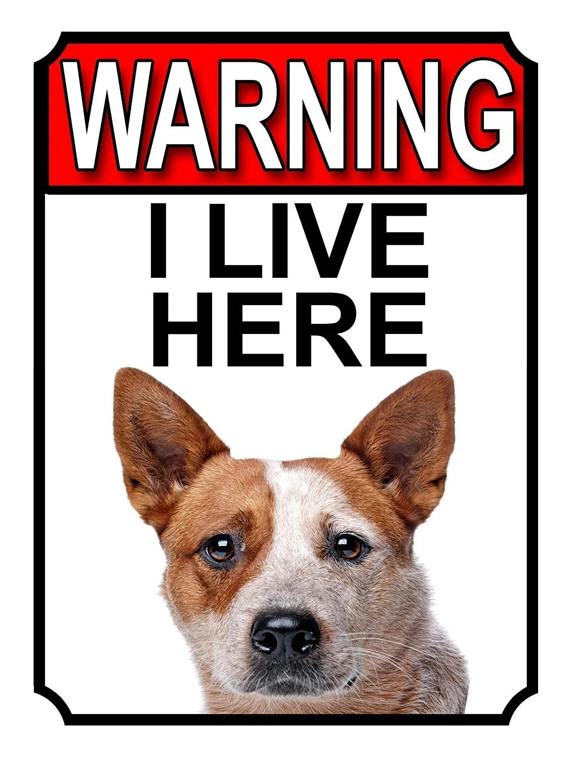 

Warning I Live Here Retro tin sign nostalgic ornament metal poster garage art deco bar cafe shop