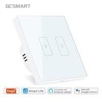 tuya smart life 2 gang europe wifi white light switch application remote control timer schedule google home alexa voice control