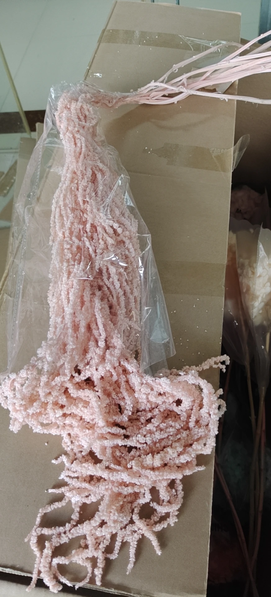 Букет сухих натуральных цветов Amaranthu 60 см сохраненное просо длинные мягкие