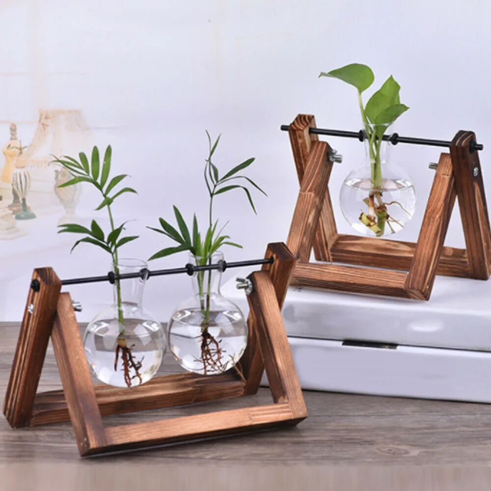 Гидропонные вазы для растений стеклянная ваза плантатор Террариум стол