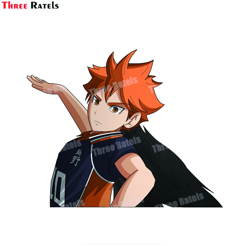 

Виниловая пленка для защиты от царапин Three Ratels B375 Hinata Shoyo для декора ноутбука