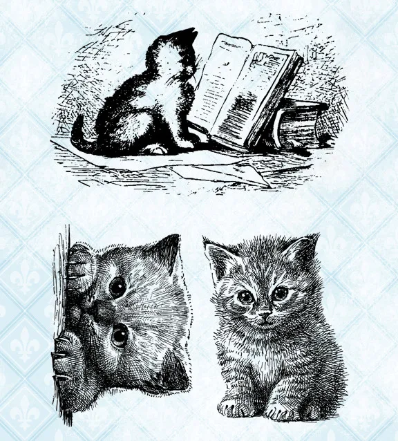 Прозрачный штамп с изображением кошки для скрапбукинга Прозрачная силиконовая