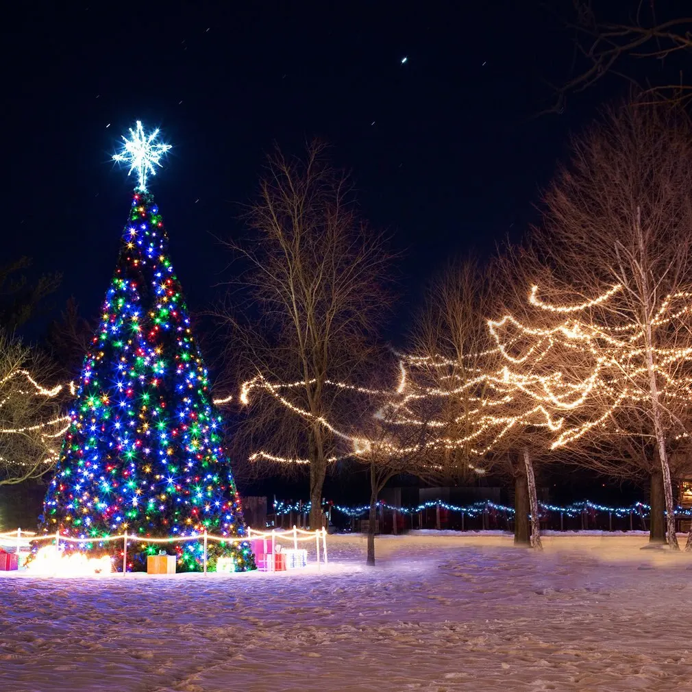 

200 LEDs Solar Lamps 2 Modes 22m Solar String Light Garlands Lights Holiday Fairy Lights Christmas Lights Waterproof Sunproof