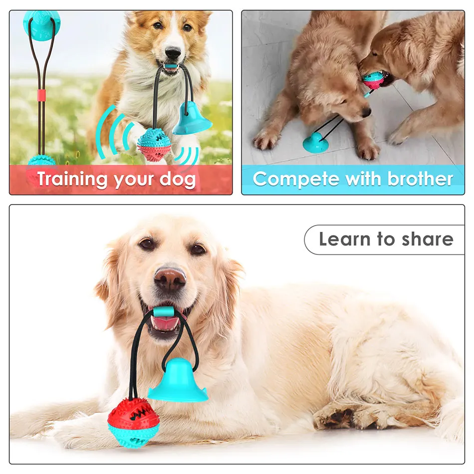 Интерактивная присоска Push TPR мяч игрушки для собаки эластичные веревки чистки