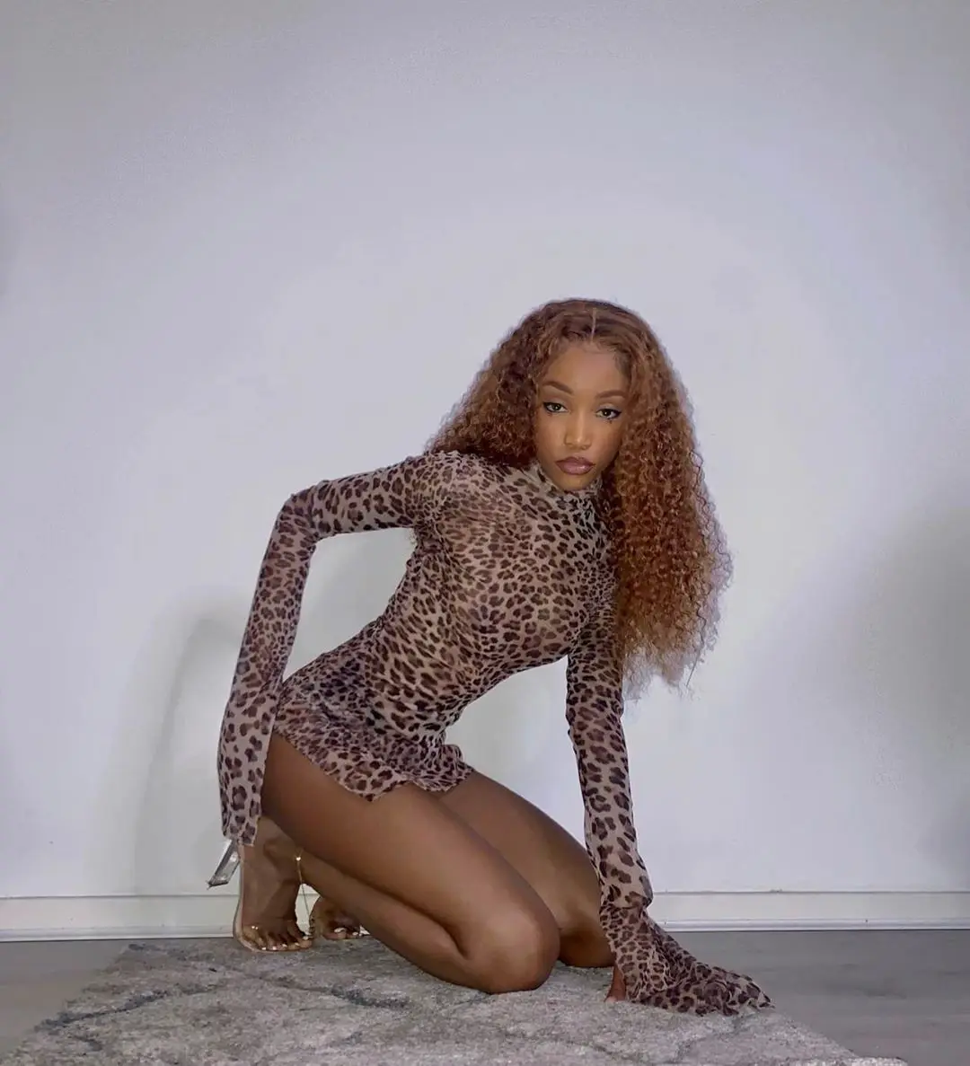 

Women Sexy Dress High Collar Mesh See-through Long Sleeve Leopard Split Dresses for Party Club Summer Thin