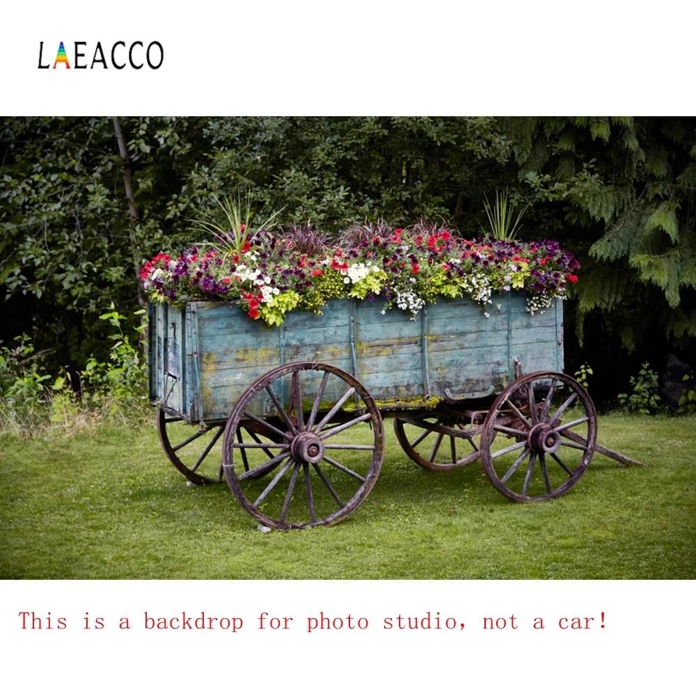 Laeacco колеса курган садовые цветы фотографии фоны Виноградная лоза Декор