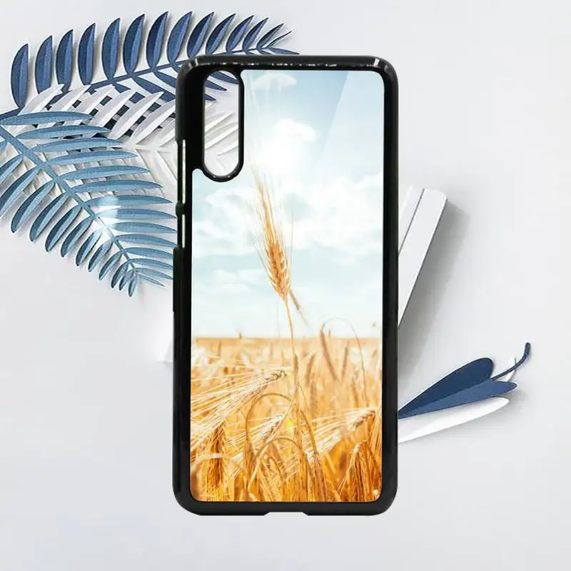 

Raw material for bread wheat fashion Phone Case PC For Samsung galaxy S note 8 9 20 10 e lite2019 plus pro ultra