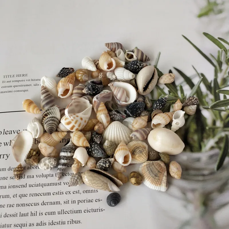 HappyKiss 1 лот из морских ракушек раковины для аквариума морские украшения