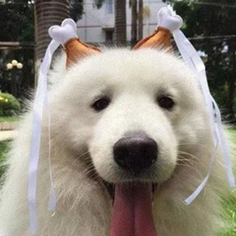 Повязка на голову с куриным барабаном обруч для ног собаки вечевечерние головной