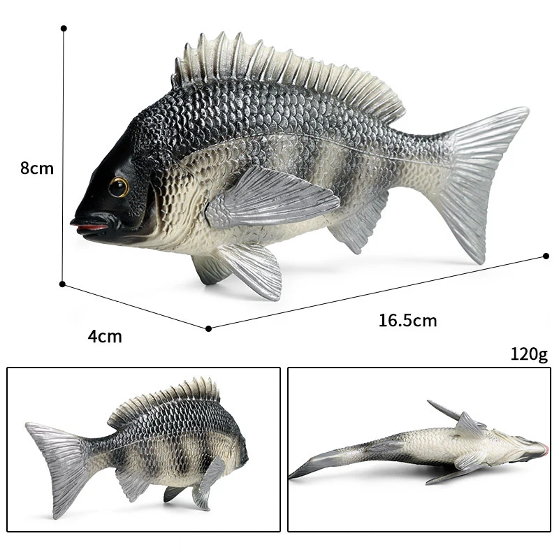 

Simulation Tilapia Fish Figurine Sea Life Animal Action Figures Model Toys For Children Education Decor Gifts