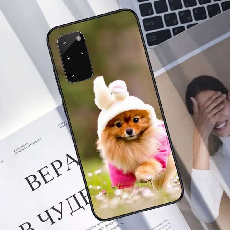 

Pomeranian dogs dog Phone Case For Samsung galaxy S 7 8 9 10 20 edge A 6 10 20 30 50 51 70 note 10 plus