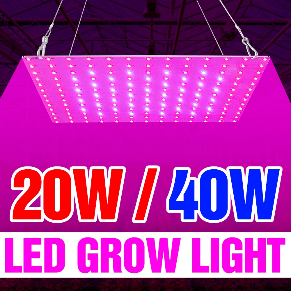 

20W 40W Phytolamp LED Full Spectrum LED Grow Light Plant Growth Lamp 220V Greenhouse Seedling Fito Light LED Flower Seed Lampada