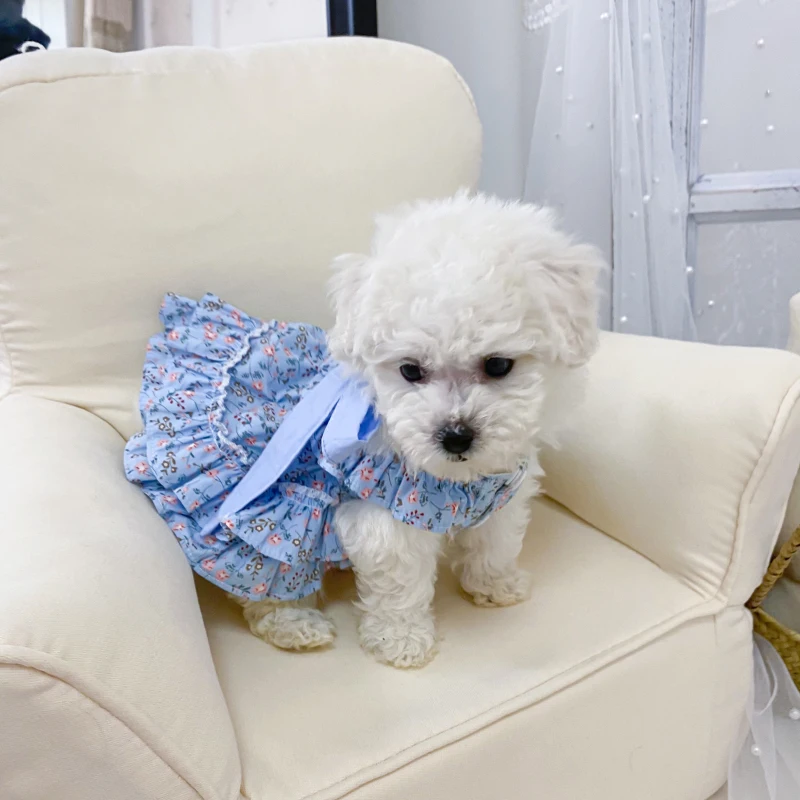 

Cat Dog Dress + Hat Chihuahua Clothes Summer Doggie Puppy Small Dog Clothing Cute Princess Skirt Outdoor Travel Pet Costumes