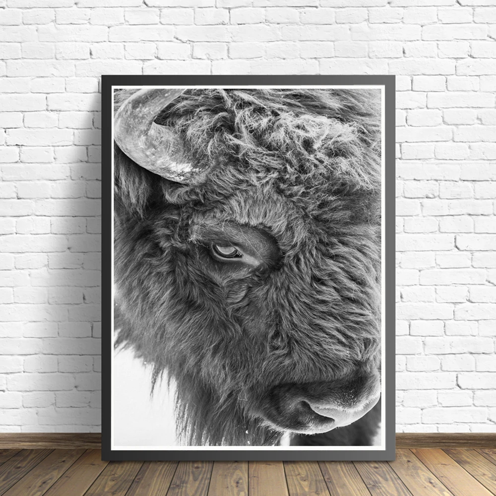 

Bison Print Black White Animal Photo Poster Nursery Decor Highland Animals Buffalo Canvas Painting Picture Kids Room Wall Decor