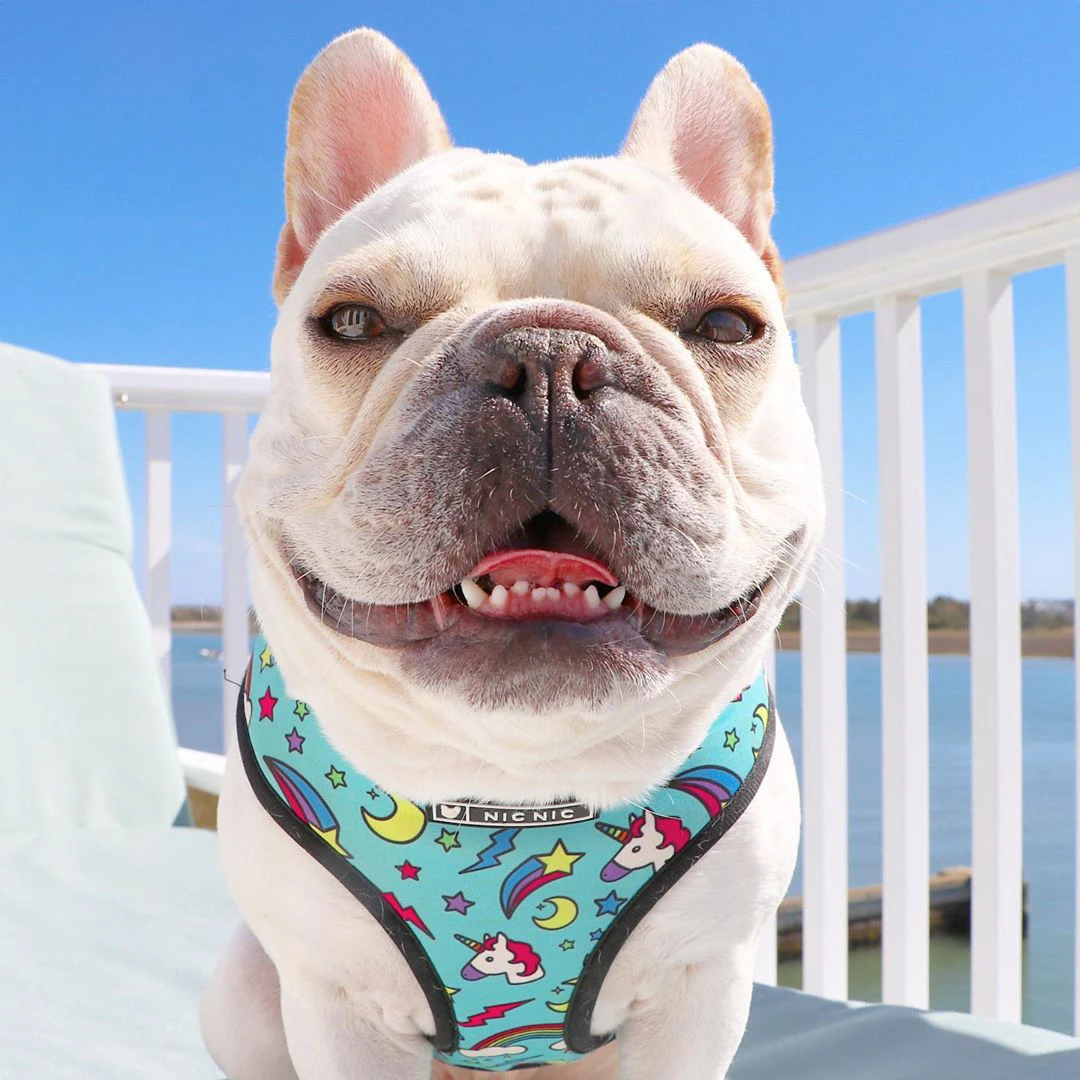 French Bulldog Harness Printed English Frenchie Reversible Puppy Small Dogs Vest for Pug Walking Training | Дом и сад