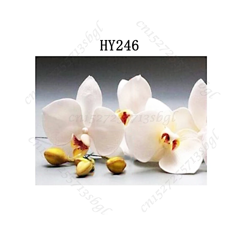 

Pure Flowers Cutting Dies- New Die Cutting And Wooden Mold, Suitable For Common Die Cutting Machines On The Market.