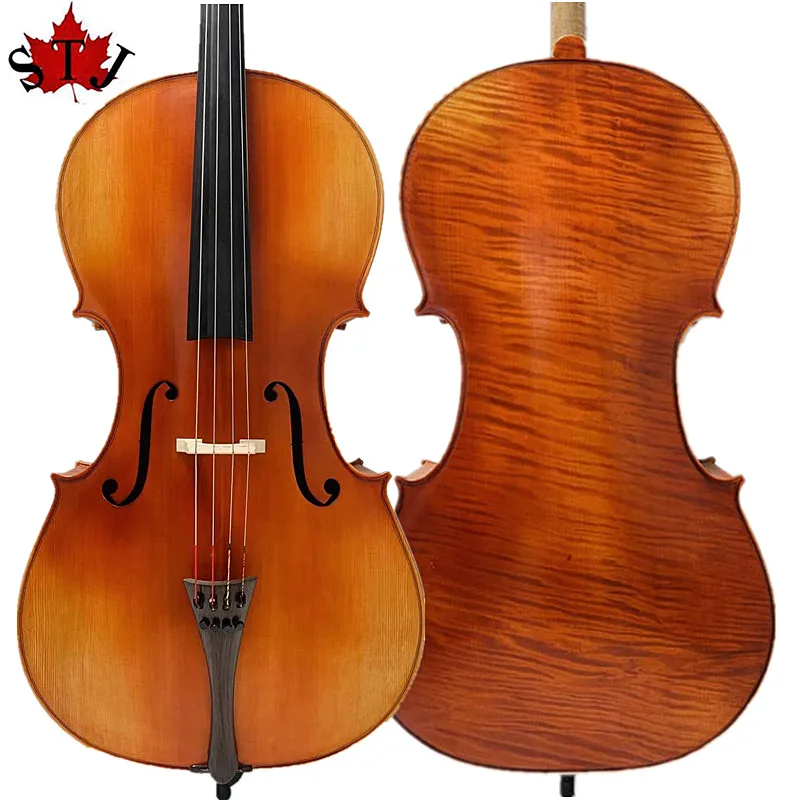 Редкая профессиональная песня Master виолончель 4/4 один кусок кленового дерева