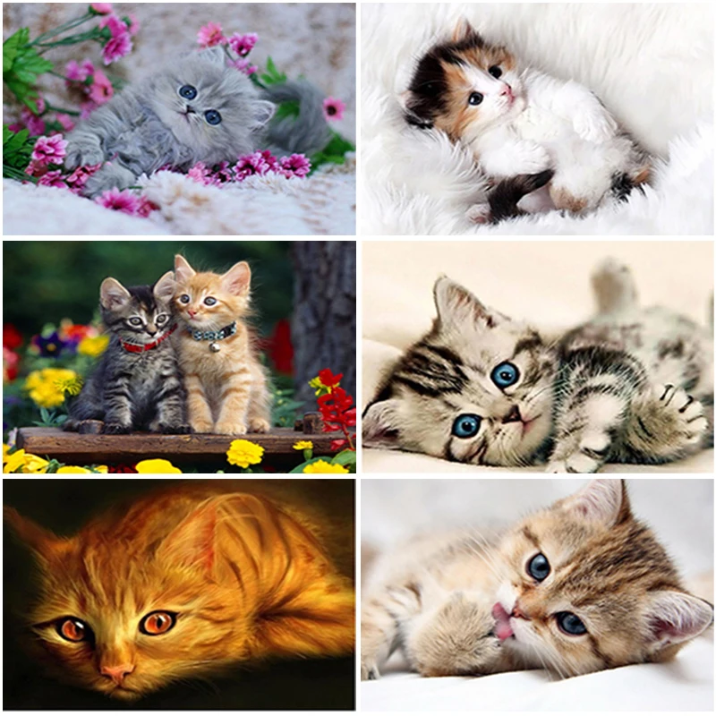 

Diamond Painting Full Square/Round Resin 5D DIY Diamond Embroidery Cute Cat Rhinestones Mosaic Animal New Year Decorations