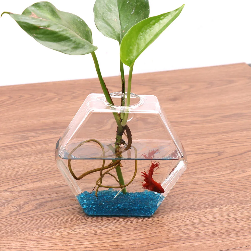 Стеклянные кашпо настенные круглые воздушные горшки для растений настенный