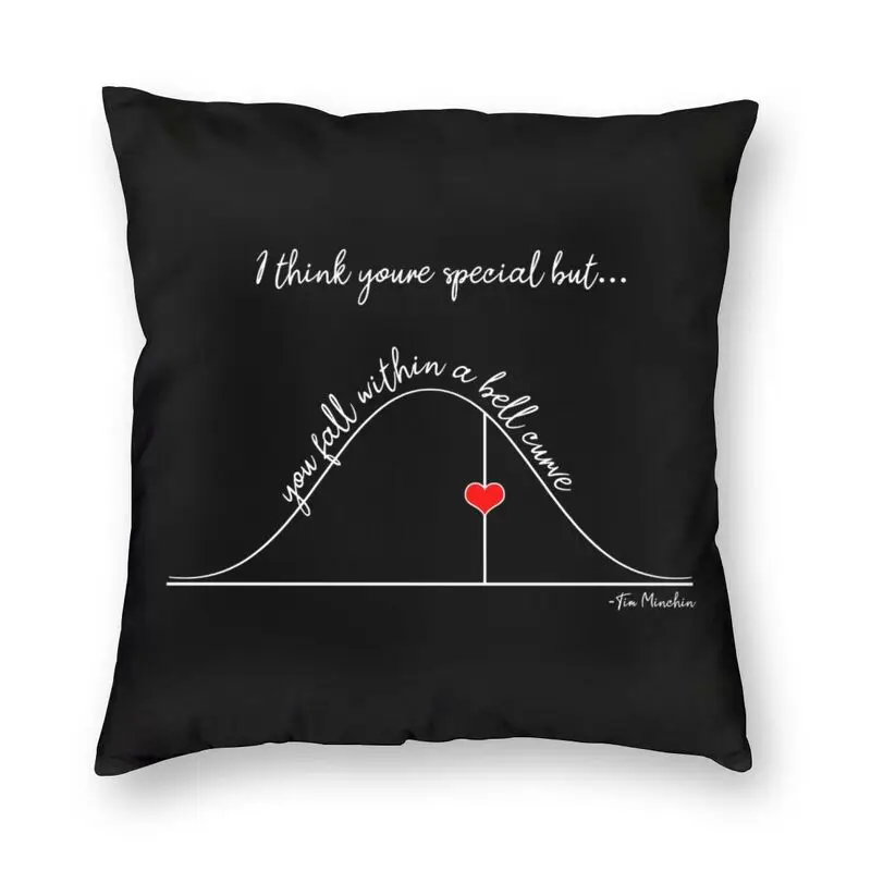

Fashion Funny Math Statistics Pillow Case Decoration 3D Double Side Printing Mathematics Teacher Cushion Cover for Living Room