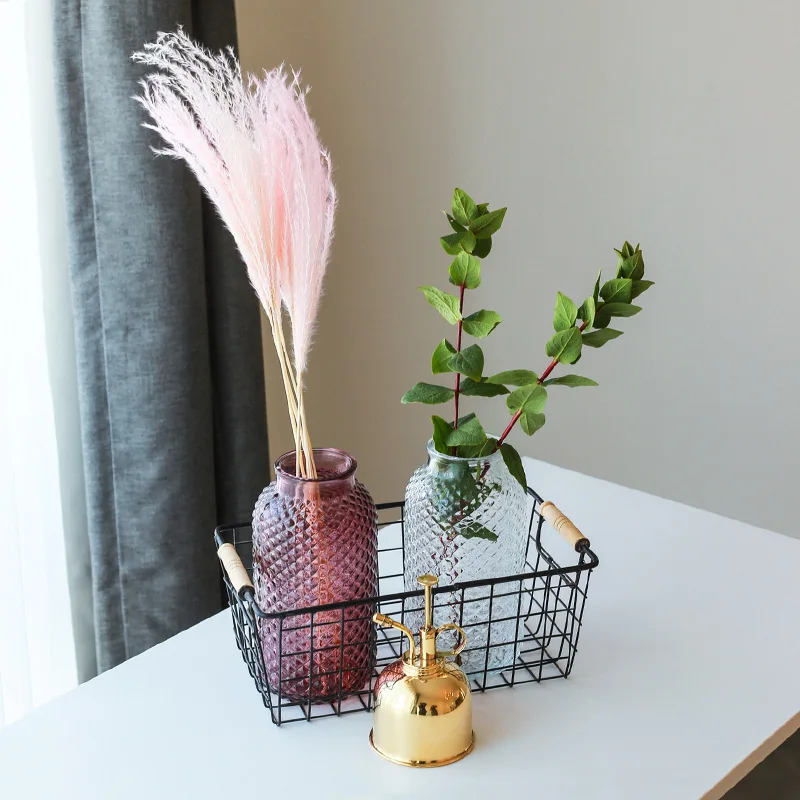 Креативные скандинавские стеклянные вазы для гидропоники бутылка растений