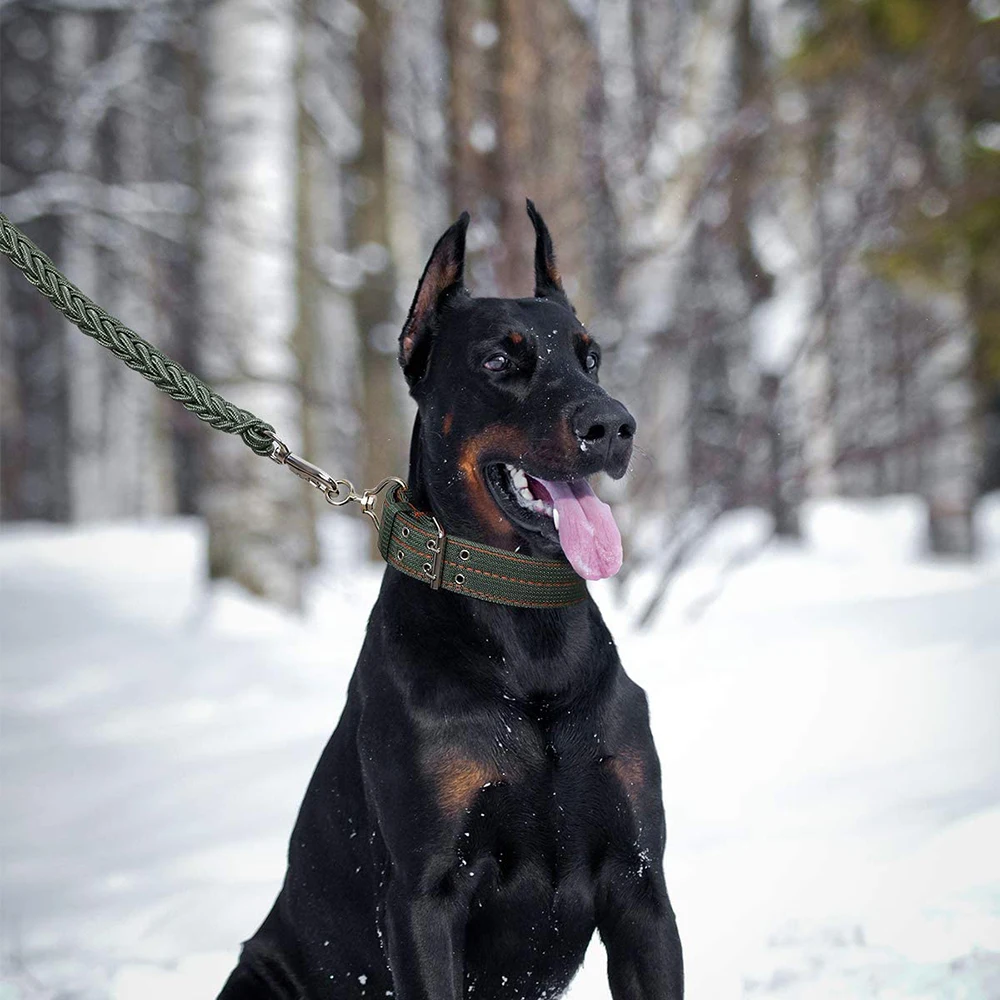 

NIPEECO Tactical Dog Collar and Leash Set Large Breed Adjustable Collar and 4 FT Strong Leash with Heavy Duty Metal Buckle